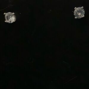 Elegant Silver Stud Earrings